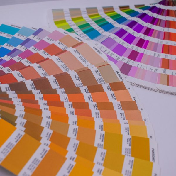 pexels-3170155-9421350 pexels-3170155-9421350